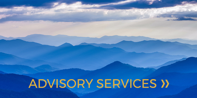 Advisory Services