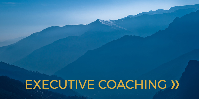 Executive Coaching